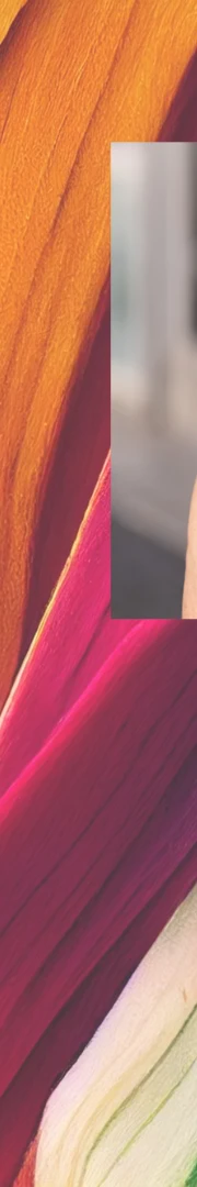Imagem9